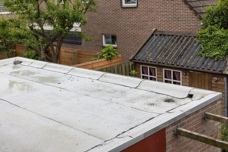 Single Ply Roof Repair