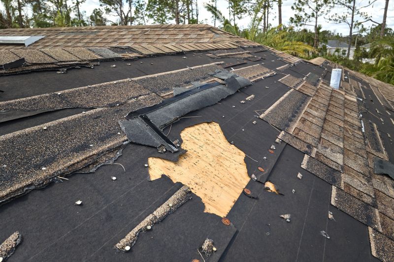 Roof Damage Inspection